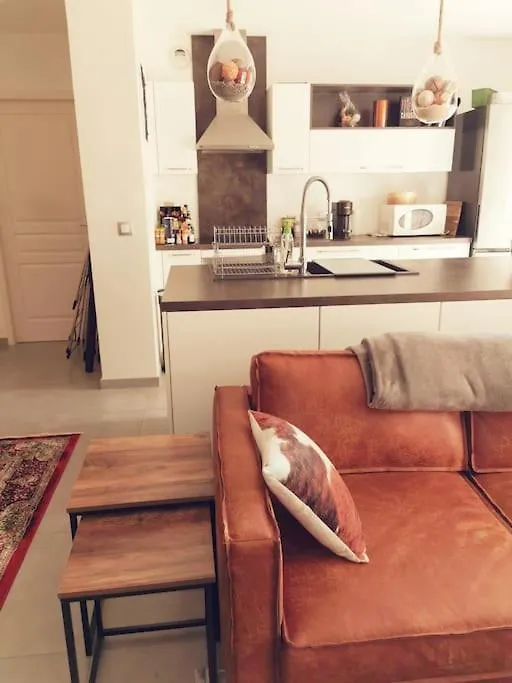 Le Cocon Apartment Romans-sur-Isere France
